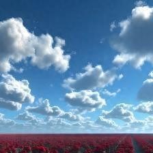 开云app-两性关系：人过75岁，如果还想再活20年，必须要记住这几句话